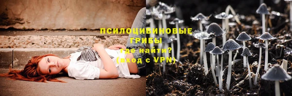 амф Алзамай