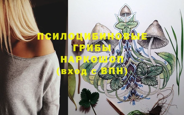 синтетический гашиш Алексин