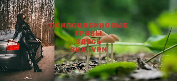 синтетический гашиш Алексин