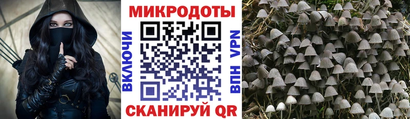 Галлюциногенные грибы мицелий  купить   Боготол 